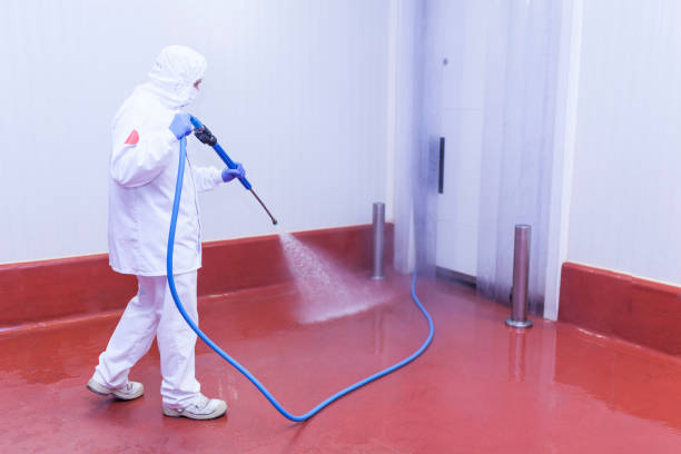Pre-Holiday Cleaning in Silver Lake, NJ